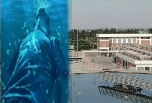 وفاة عامل غرقا أثناء مزاولة عمله داخل محطة تصفية المياه نواحي تطوان