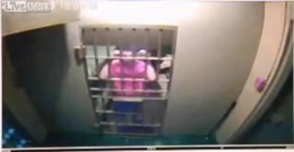 بالفيديو.. ضباط شرطة يعذبون السجناء بالصاعق الكهربائى داخل الزنازين الأمريكية