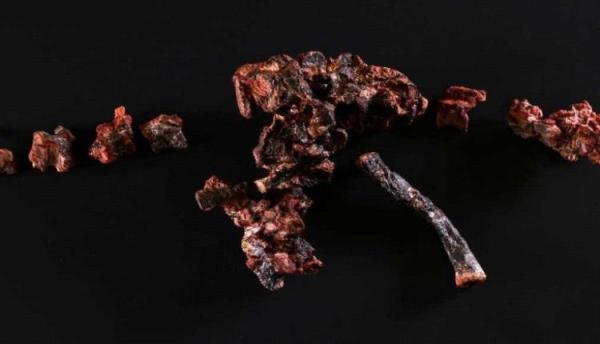 علماء يكتشفون واحدة من أقدم الحفريات في العالم