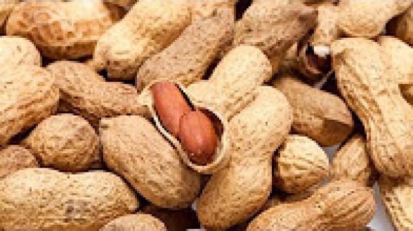 هل تعلم ماذا يحدث للجسم إذا تناولت حفنة من الفول السوداني.. مدهش حقا !