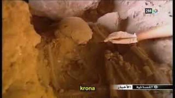 إكتشاف هكلين عظميين يعودان ل 800 الآف سنة