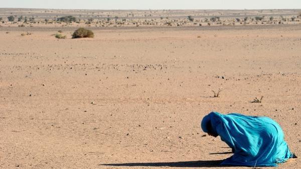 الوفد المغربي بالاتحاد البرلماني يفضح الادعاءات الجزائرية حول الصحراء المغربية
