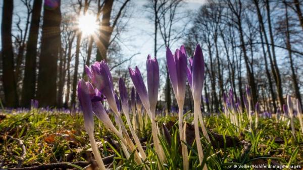 نصائح لتوازن الهرمونات والتخلص من التعب مع قدوم الربيع