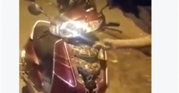 بالفيديو.. لحظة العثور على ثعبان ضخم في دراجة نارية