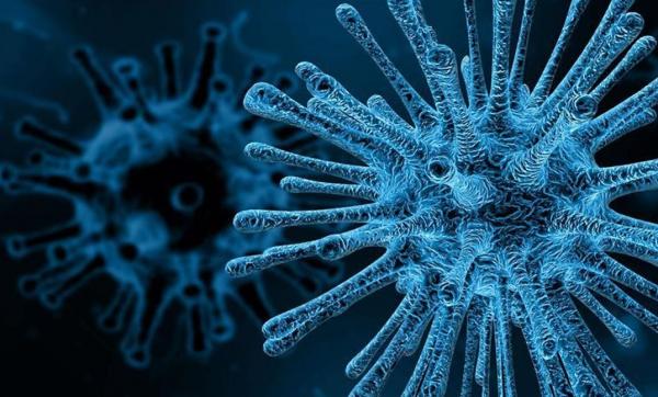 دراسة حديثة..  82% من مرضى فيروس "كورونا" لديهم نقص في هذا الفيتامين