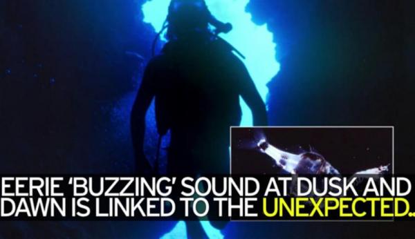 بالفيديو: تفسير ظاهرة الصوت الغريب بأعماق المحيط الهادي