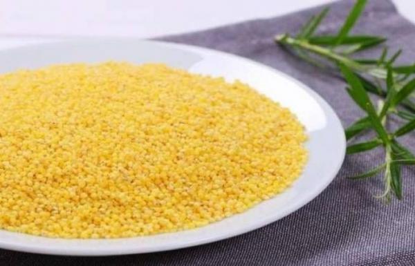 المواد الغذائية التي تحسن عمل الدماغ