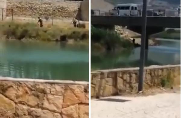 ردوا البال ..شاهد كيف يغسل "بائع الهندي" فاكهته بماء واد الحار