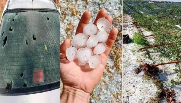 فيديو: عاصفة رعدية تقتلع الأشجار المثمرة وتهشم زجاج السيارات بإيموزار نواحي فاس