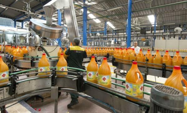 تأثير سلبي لأرباح شركة "لوسيور كريسطال" بعد تخفيض أسعار الزيوت