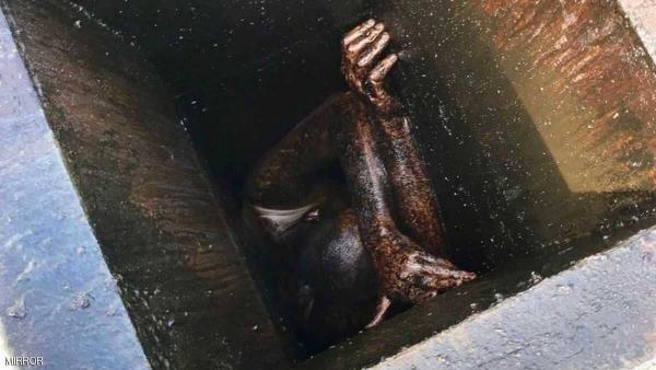 في أغبى عملية سرقة .. لص يعلق في مصرف الشحوم