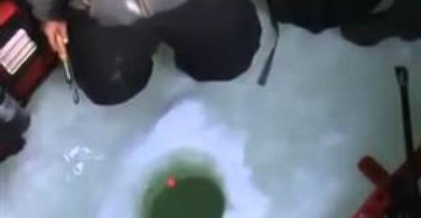 بالفيديو.. رجل يصطاد سمكة كبيرة بخطاف