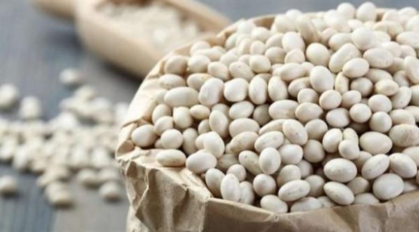 تعرف على الفوائد المدهشة للّوبيا البيضاء