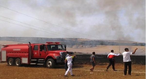 عاجل : حريق مهول يأتي على 50 هكتارا من الشعير بسطات