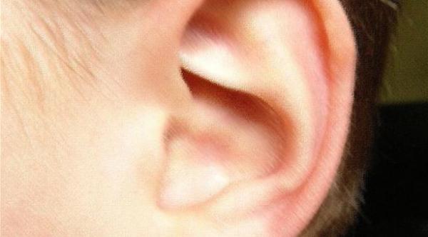 اكتشاف طريقة فرز الأذن للأصوات في الزحام