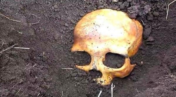 ذهب ليزرع البطاطا في الحديقة فاكتشف أن زوجته قاتلة