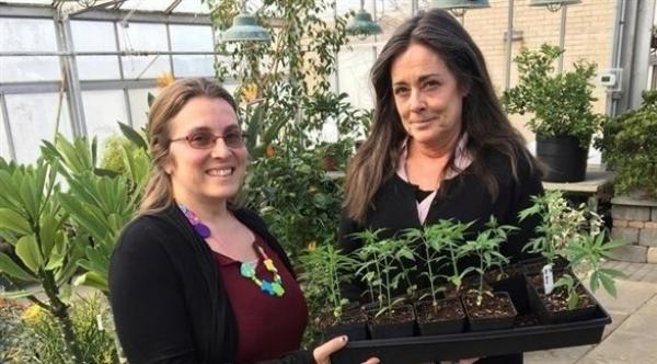 جامعات تضيف المخدرات إلى مناهجها الدراسية في هذه الدولة