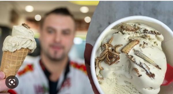 متجر الماني يصنع اول آيس كريم بنكهة صراصير الليل المجففة