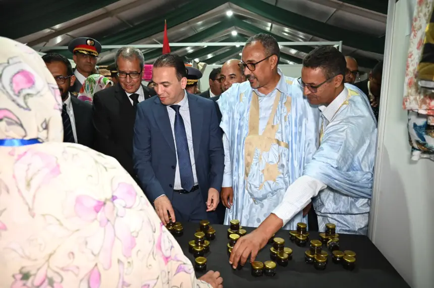 السعدي من الداخلة يقوم بزيارة عمل تشمل الصناعة التقليدية والاقتصاد الاجتماعي والتضامني