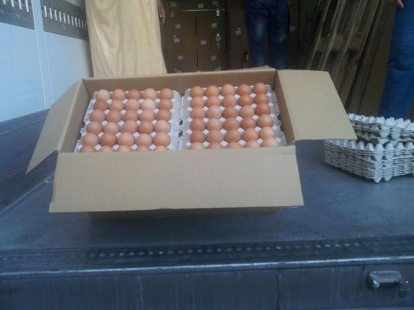 بالصور ...البيض الاسباني يشرع بالدخول إلى الأسواق المغربية و هذا تأثيره على الأثمنة