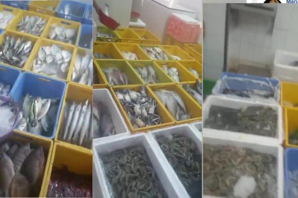 لن تصدق ثمن السردين في السعودية ...من أغلى البلدان العربية