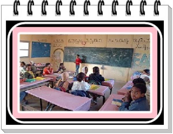 النتائج الأولية للحركة الانتقالية التكميلية لنساء ورجال التعليم