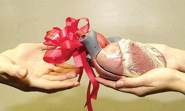 هل يجوز تبرُّع المسلمين بأعضائهم لغير المسلمين؟