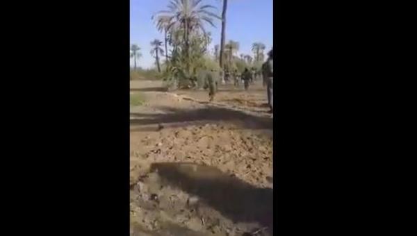 القوات المساعدة تطارد الأطر التربوية في حقول النخيل