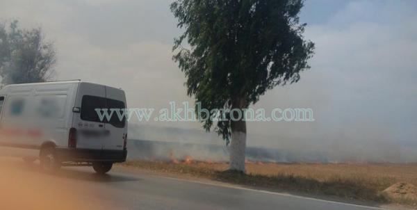 عاجل : رجال الوقاية يفلحون في إخماد حريق أتى على 13 هكتار بالصخيرات