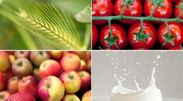 عدم تحمل الطعام .. أنواع واختبارات