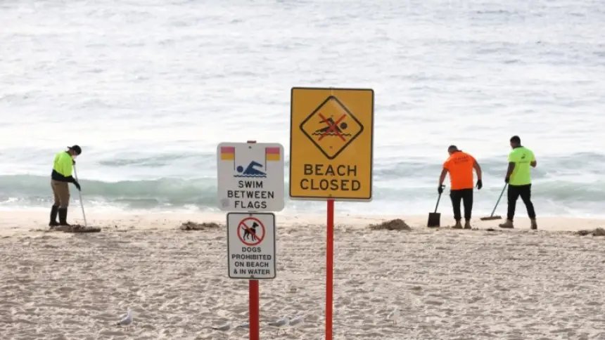 إغلاق 9 شواطئ في سيدني بسبب حطام غامض جرفته الأمواج