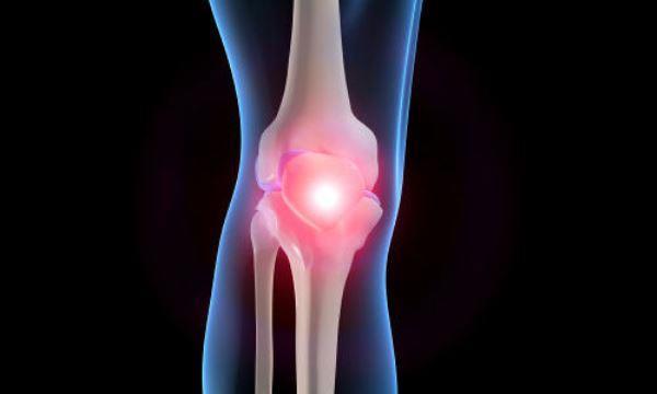 زرع الخلايا لمعالجة غضروف ركبة الرِجل
