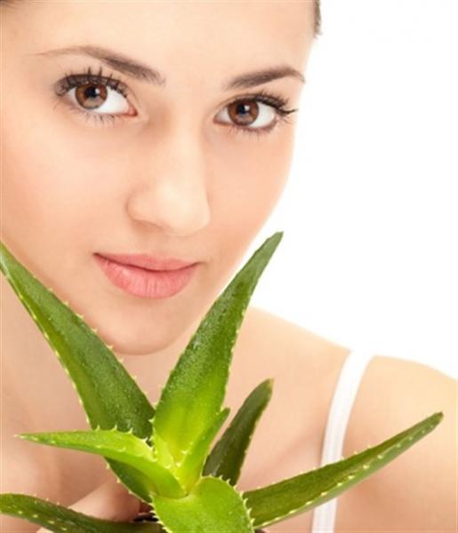 الصبار البري سر البشرة الجميلة