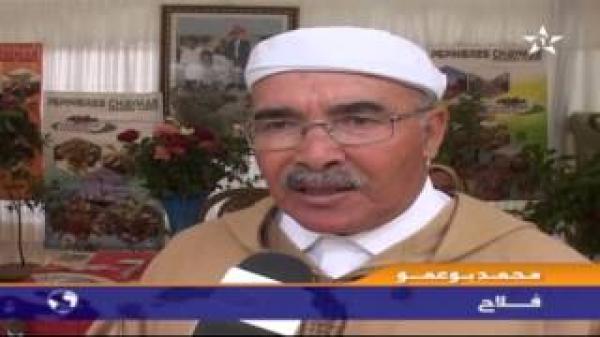 صعوبات انتاج التفاح بافران