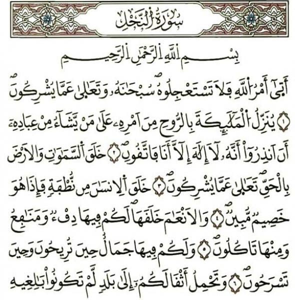 (أتَى أمرُ الله فلا تستعجلوه ) كيف أتى ومن ثم يطلب منا ان لا نستعجله فاتى بالماضي ؟!فما هو السرّ؟!