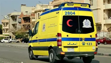 "بقطرة".. شاب ينهي حياة خالته لسرقة أموالها وهاتفها المحمول