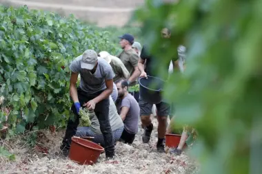 فرنسا تفتح أبوابها للعمال الزراعيين المغاربة: عروض توظيف موسمية برواتب مغرية!