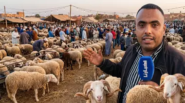 كساب: غادي نتعامل مع الدراوش والبيع عندي بـ"كلغ" ولي جا غادي ياخود الحولي ديالو
