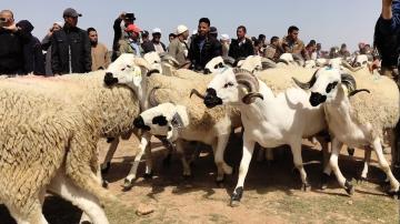 وزارة الصحة تتوقع ارتفاعا في إصابات كورونا خلال عيدالأضحى وهذا ما توصي به المغاربة
