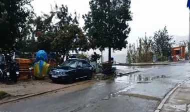 أمطار الخير تتهاطل على عروس الشمال