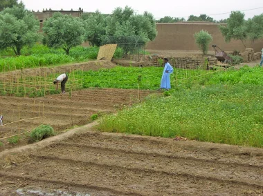 من الأرشيف