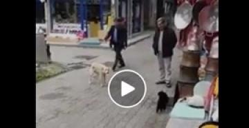 رد فعل غير متوقع لقطة هاجمها كلب (فيديو)