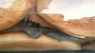 خبز بطعم الفئران