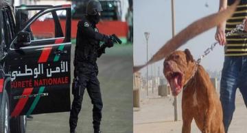 الأمن يدخل على خط فيديو يوثق لشخص هدد شرطي بواسطة كلب