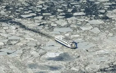 مشاهد فضائية غير مألوفة.. ناسا ترصد تجمد أنهار نيويورك بعد موجة صقيع قاسية