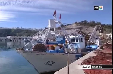 الدلفين الأسود يجبر صيادي الحسيمة على الهجرة إلى طنجة