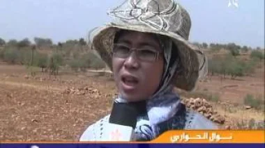 الاحصاء بأعالي الجبال