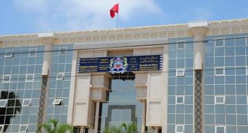 استرجاع 20 قطعة أثرية تعود لفترة ما قبل التاريخ بالمملكة