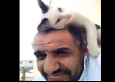بالفيديو.. شاهد كيف شكرت قطة شابا ساعدها في مرضها في مشهد موثر