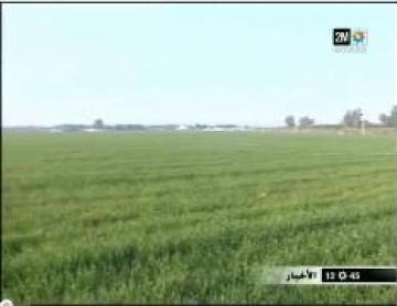 الفلاحة و تأخر الأمطار في المغرب